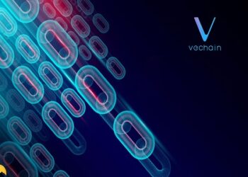 A Beginner's Guide To Vechain | DeFi Planet