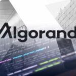 Why is Algorand Special?