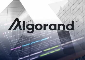 Why is Algorand Special? | DeFi Planet