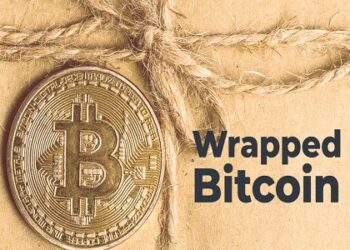 An Overview Of Wrapped Bitcoin | DeFi Planet