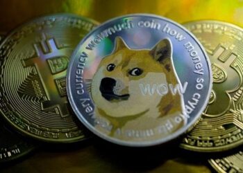 A Dive Into The Life Of Meme Coin, DogeCoin | DeFi Planet