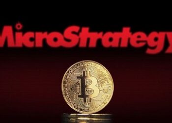 Microstrategy’s Bitcoin Purchase Divides the Cryptocurrency Community