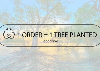 CTL Partners With Ecodrive to Plant a Blockchain Verified Tree for Every Online Order