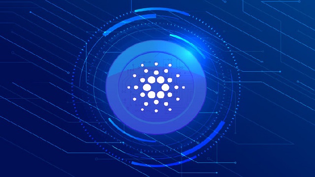 Cardano Foundation Elects New COO and CLO
