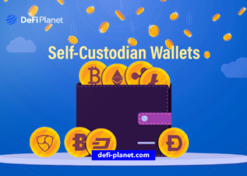 Everything You Need to Know About Self-Custody Wallets