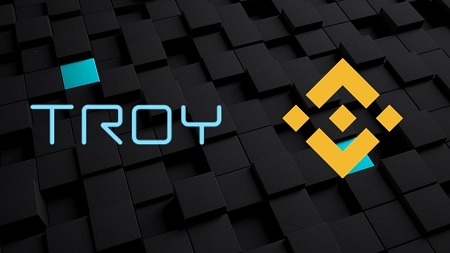 binance troy