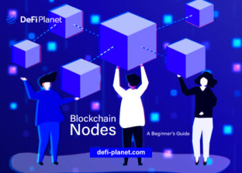 What-Are-Blockchain-Nodes-and-How-Do-They-Work-A-Beginner’s Guids
