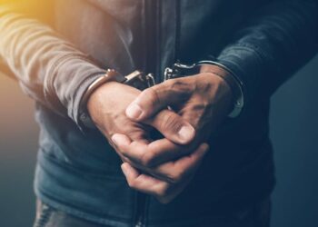 Bitsonic CEO Arrested in South Korea for Embezzling User Funds