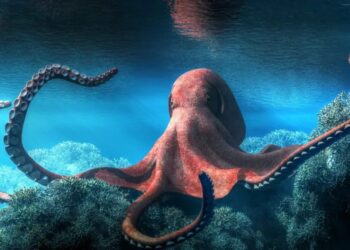 Kraken Expands European Footprint with Licence Approvals in Spain and Ireland