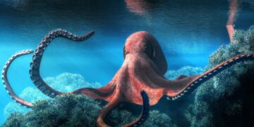 Kraken Expands European Footprint with Licence Approvals in Spain and Ireland