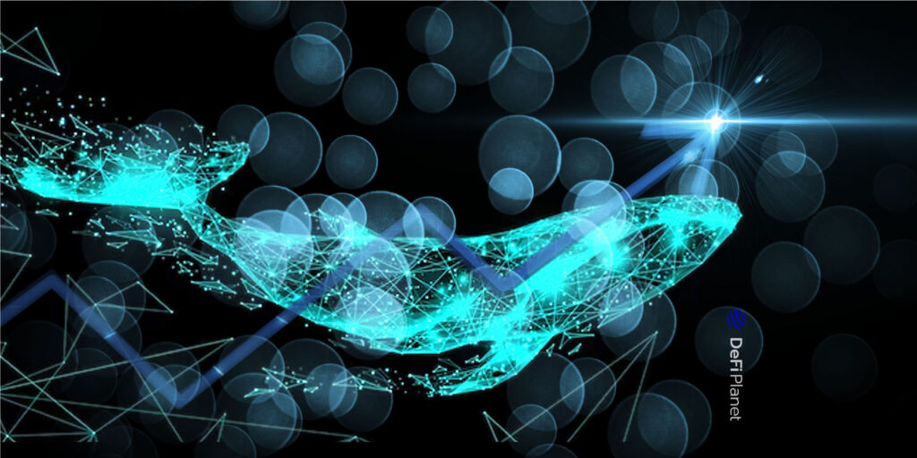 Understanding How The Actions Of Crypto Whales Impact Cryptocurrency Markets