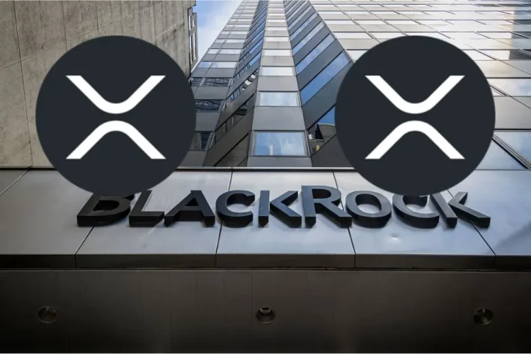 Ripple CEO Hints at BlackRock XRP ETF