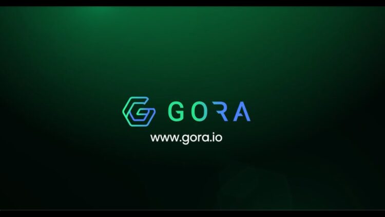 Gora: Infusing Blockchain with a Breeze of Next-Level Oracle Innovation