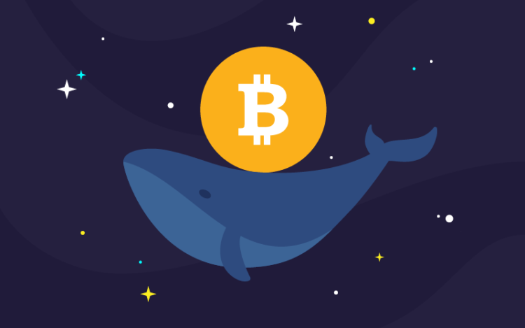Crypto Whales Transfer $58 Million Worth of ARB Tokens to Exchanges Following Token Unlock