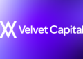 DeFi Protocol Velvet Capital Shuts Down Operations Due to Phishing Attack