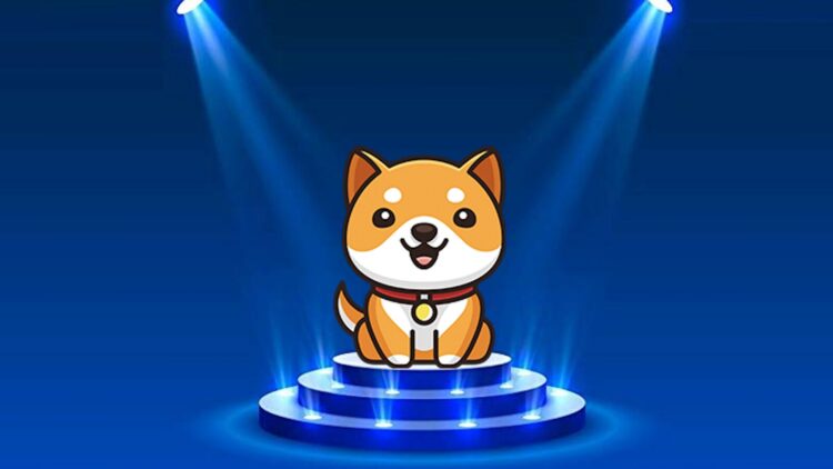 BabyDogeCoin Team Proposes Token Contract Renouncement on Ethereum and Binance Smart Chain