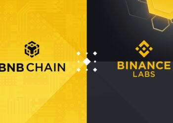 BNB Chain and Binance Labs Partner With VCs to Launch BNB Incubation Alliance