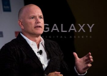 Galaxy Digital CEO Novogratz Champions Memecoins Amid Industry Skepticism