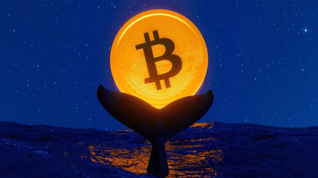 Crypto Whale Re-Accumulating $SHIB After Netting $145M Profit Two Years Ago, New Report Reveals