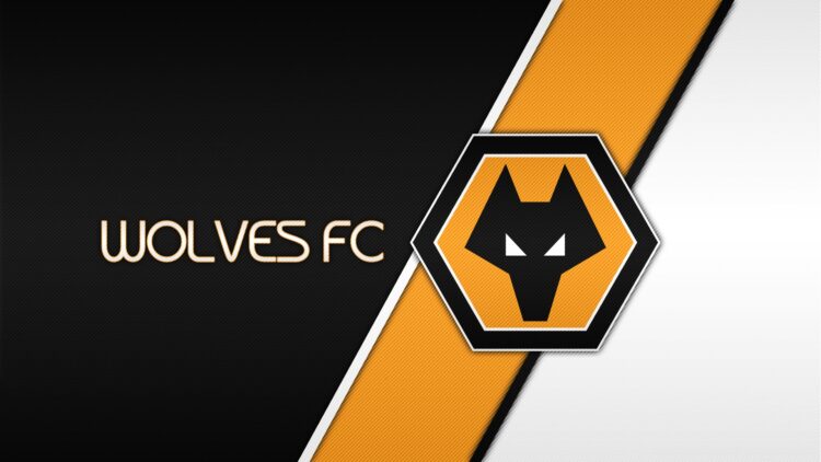 Wolves FC and LAKE Blockchain Join Forces to Promote Access to Clean Water