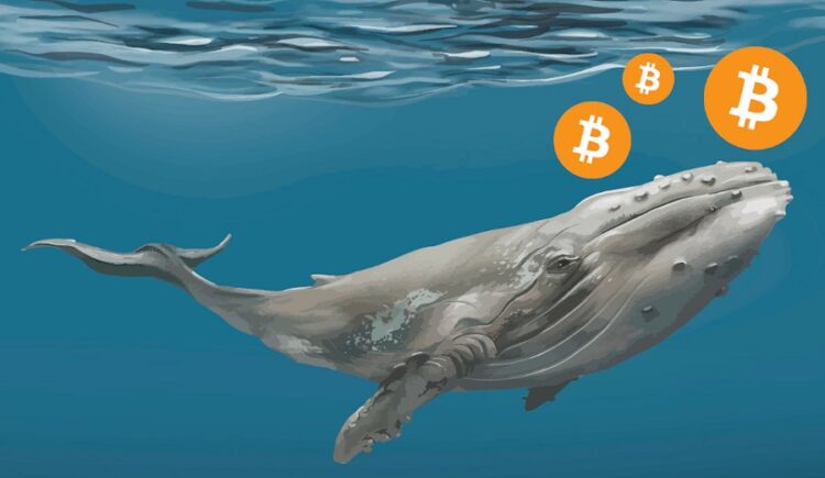 Crypto Whale Moves 5,000 ETH Worth $13.2M to OKX, Continuing $154M Sell-Off