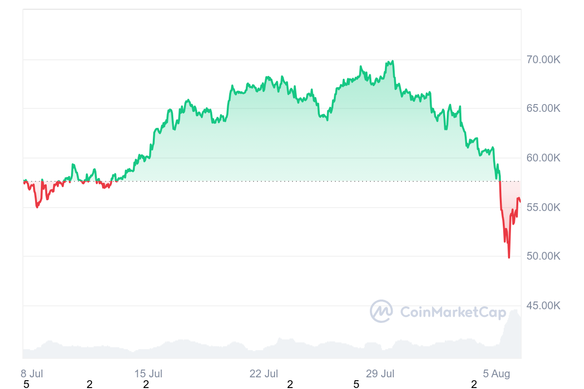 Bitcoin price drop trend in August 2024