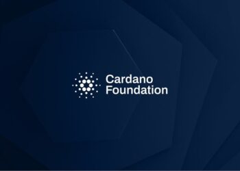 Cardano Foundation Reports $478M in Assets, Majority in ADA Tokens