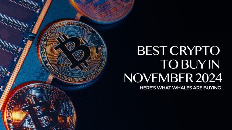 What Is the Best Crypto Presale To Buy Right Now?