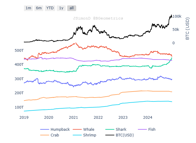 Bitcoin Distribution Chart on DeFi Planet 