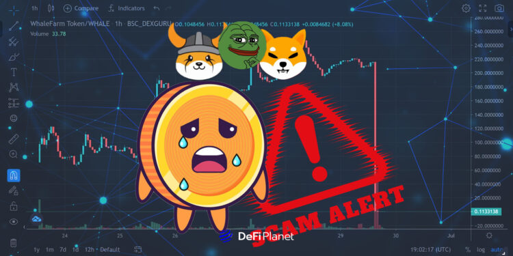 Why Do People Keep Falling for Meme Coin Scams?