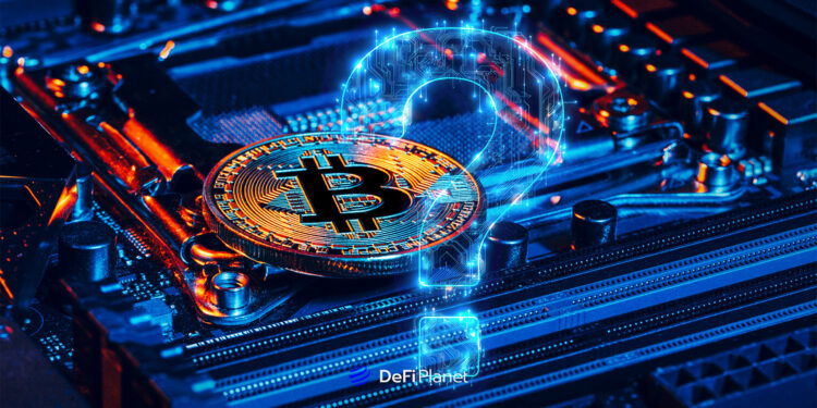 Are Storage Tokens Worth the Hype?