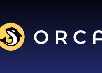 Orca DAO Proposes SOL Staking and 24-Month ORCA Buyback Plan to Boost Protocol Strength