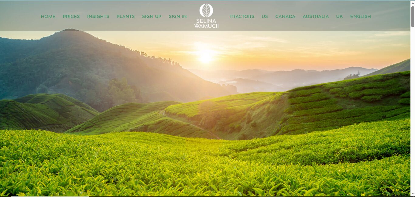 Selinawamucii website interface.