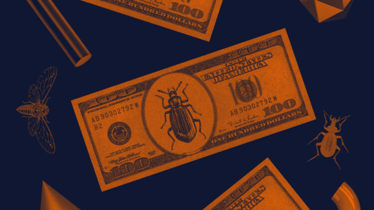 Crypto Bug Bounties: How to Get Started
