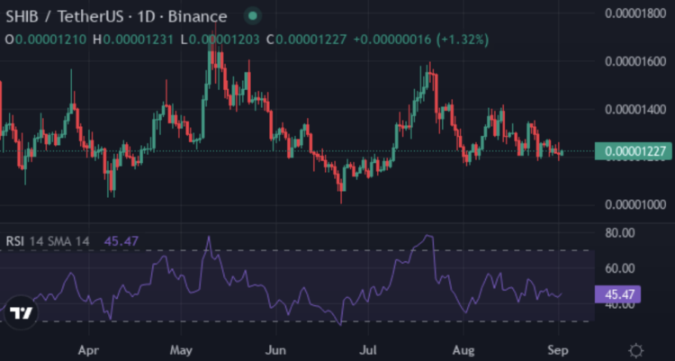 Which Crypto Will Bring 55x Gains: Shiba Inu’s Momentum, Pepe’s Viral Force or XYZVerse’s (XYZ) Utility?