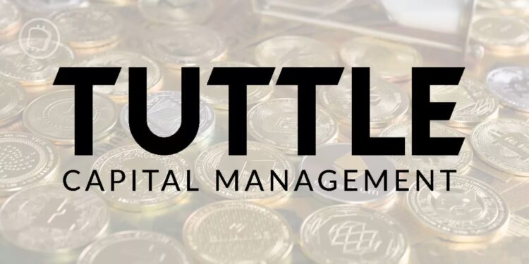 Tuttle Capital’s Government Grift ETF Nears Launch, Could Include Crypto-Tied Trump Companies