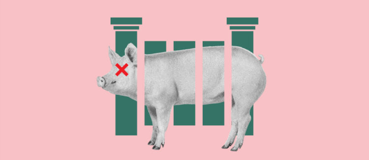 Pig-Butchering Crypto Scams Emerge as National Security Threat, Experts Warn