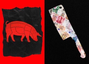 Bitcoin Investor Loses 1 BTC in “Pig Butchering” Romance Scam