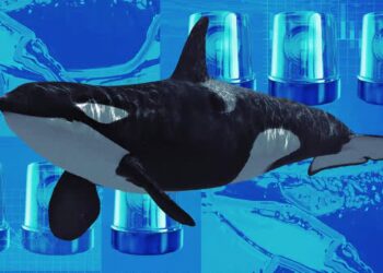 Mysterious Whale Returns After 7 Months, Buys $111M ETH in Perfect Timing