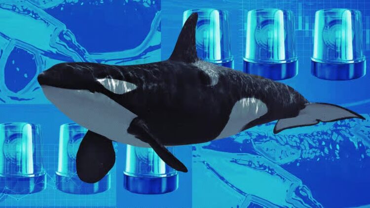 Mysterious Whale Returns After 7 Months, Buys $111M ETH in Perfect Timing