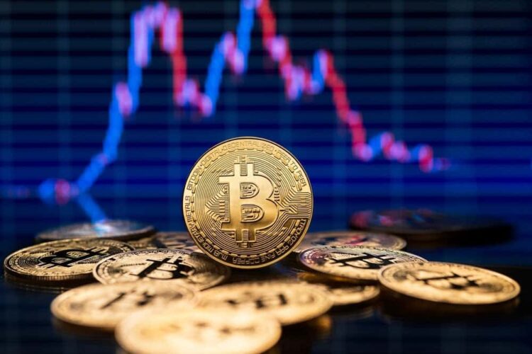 Bitcoin Exchange Reserves Drop as Whales Hold Firm, Raising Supply Shock Signals
