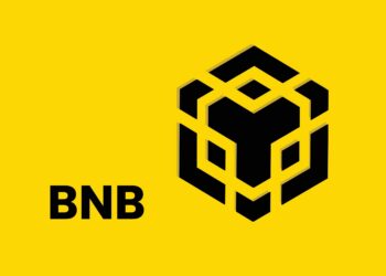 BNB Gains Ground on Ethereum as Paths Begin to Split