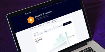 $100/Month in Bitcoin Since 2015 Would Have Turned $13,700 Into $632,000, Coinbird Analysis Shows