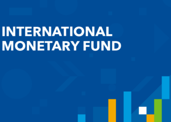 IMF Warns Dollar-Denominated Stablecoins Threaten Nigeria’s Monetary Sovereignty