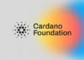 Cardano Foundation Faces Questions Over Early ICO Structure and 1090 BTC Holdings
