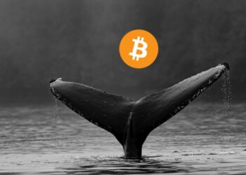 Bitcoin Whale Moves $382.7M After More Than Eight Years of Inactivity