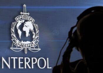 INTERPOL Exposes Crypto Laundering Network, Seizes $293M in Fraud Operation