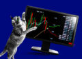 Meme Stock ETF Rebound Leaves Early Investors Below Break-Even
