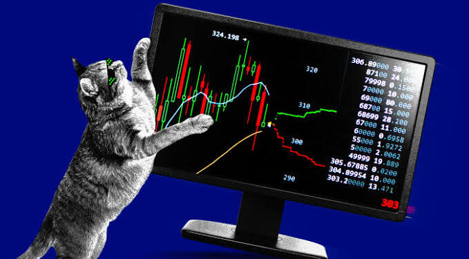 Meme Stock ETF Rebound Leaves Early Investors Below Break-Even
