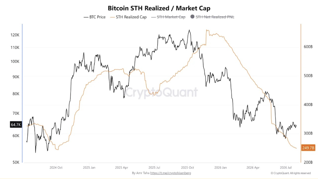 Bitcoin Short-Term Holder Capital Falls to October 2024 Level.